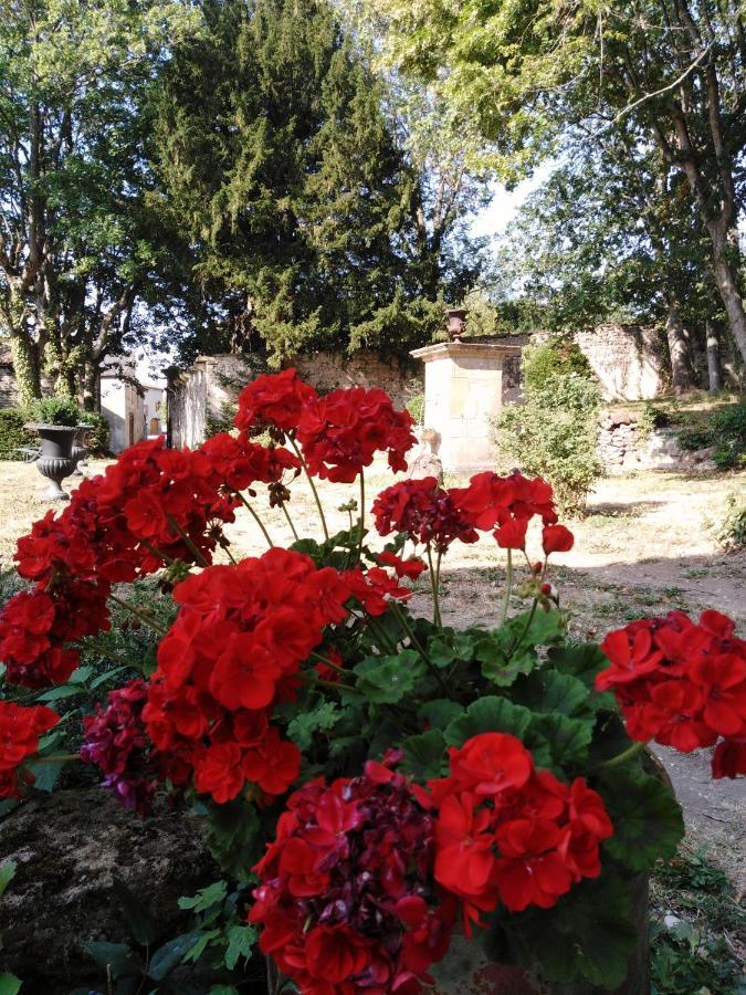 Chateau De Perpezat Apchat Экстерьер фото